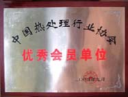 中國熱處理優(yōu)秀企業(yè)